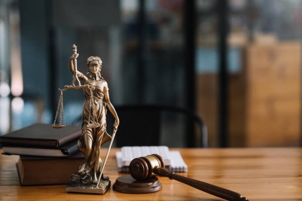 Seema Kansal Barrister
